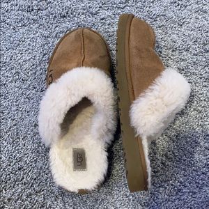 Ugg slippers